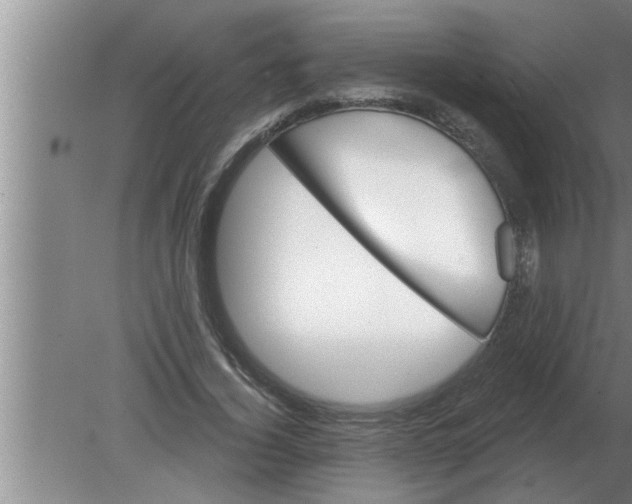 X0000080180732200612302244