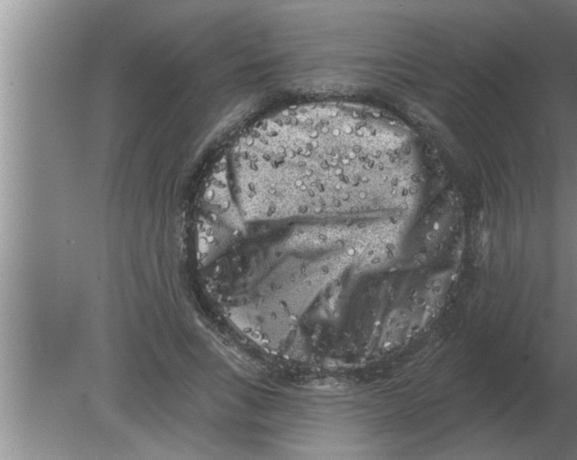 X0000080180735200612302244