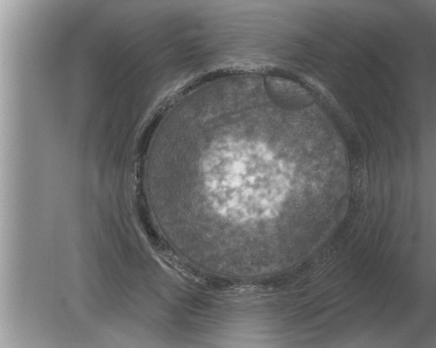 X0000080180736200612302244