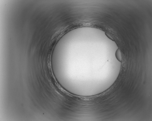 X0000080180740200612302244