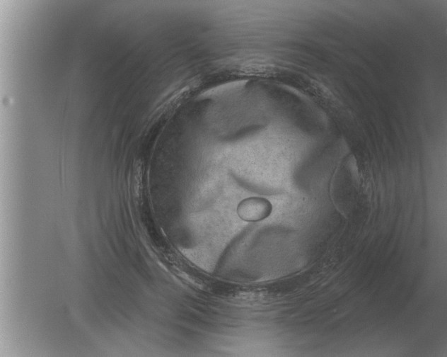 X0000080180744200612302244