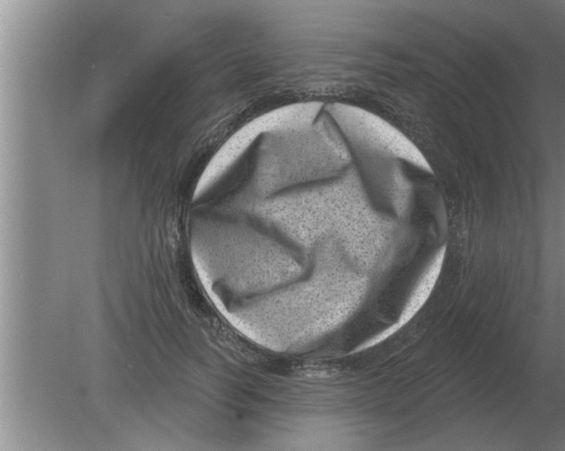 X0000080180746200612302245