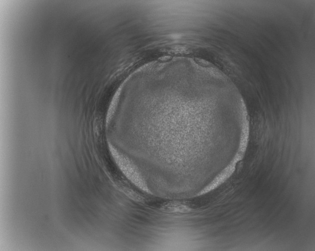 X0000080180747200612302245