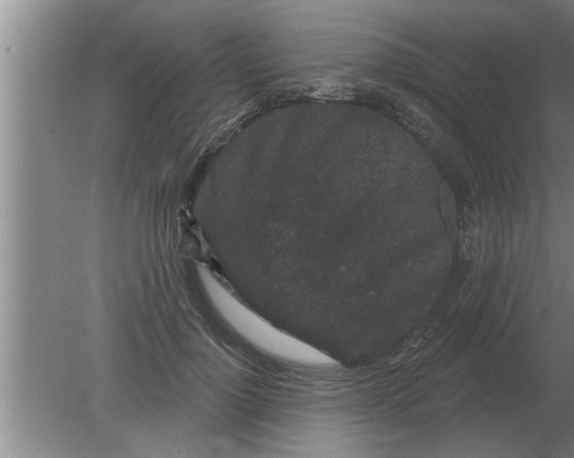 X0000080180748200612302245