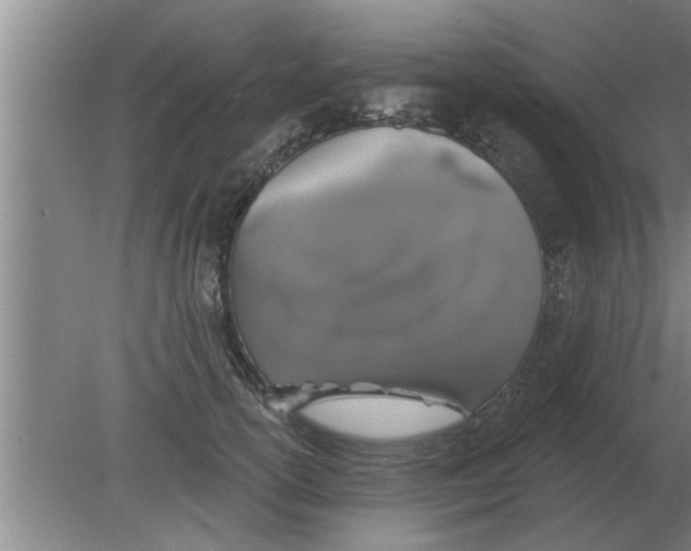 X0000080180754200612302245