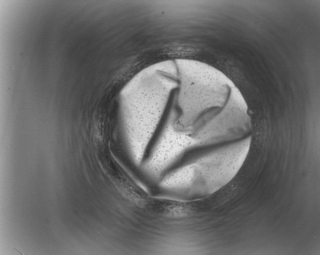 X0000080180755200612302245