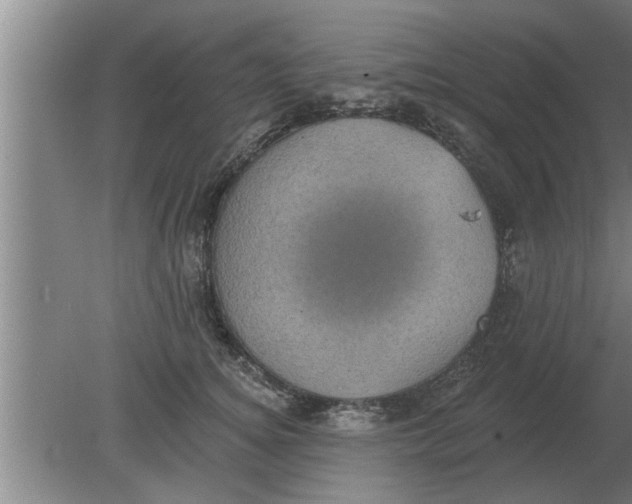 X0000080180756200612302245