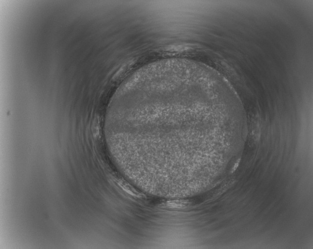 X0000080180758200612302245