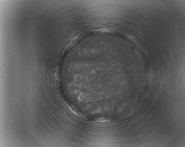 X0000080180760200612302245