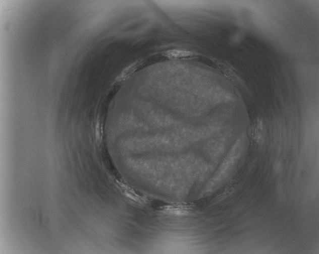 X0000080180763200612302245