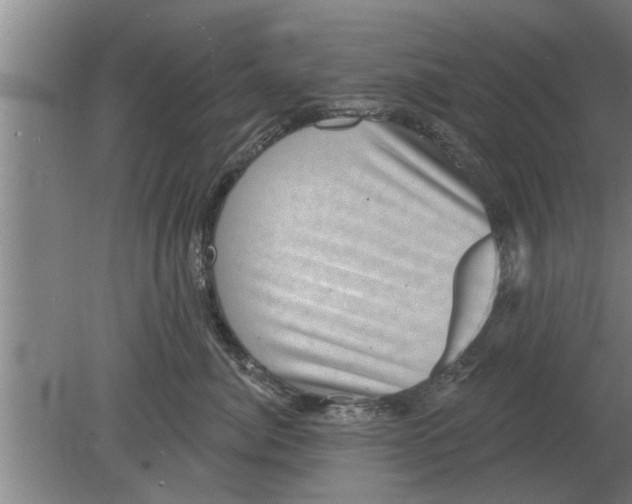 X0000080180764200612302245