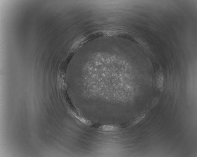 X0000080180766200612302245