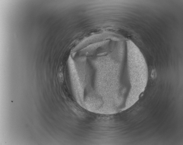 X0000080180771200612302244