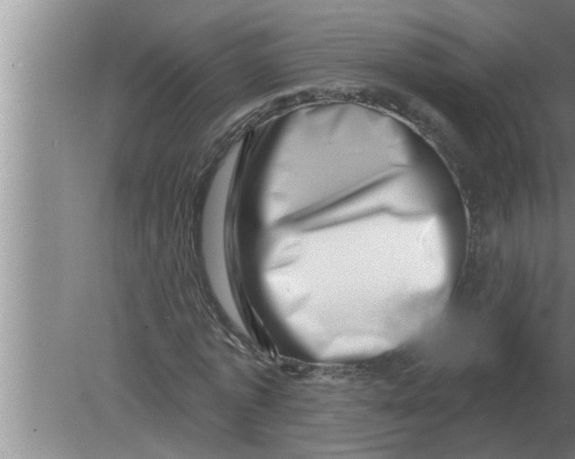 X0000080180773200612302244