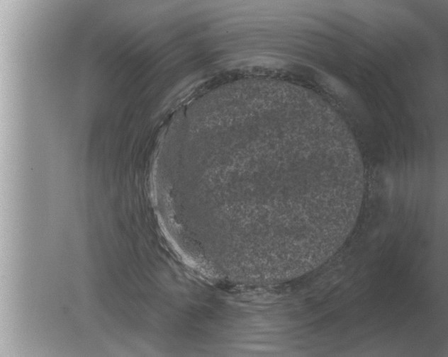 X0000080180774200612302244