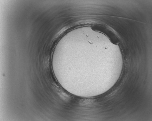 X0000080180778200612302244