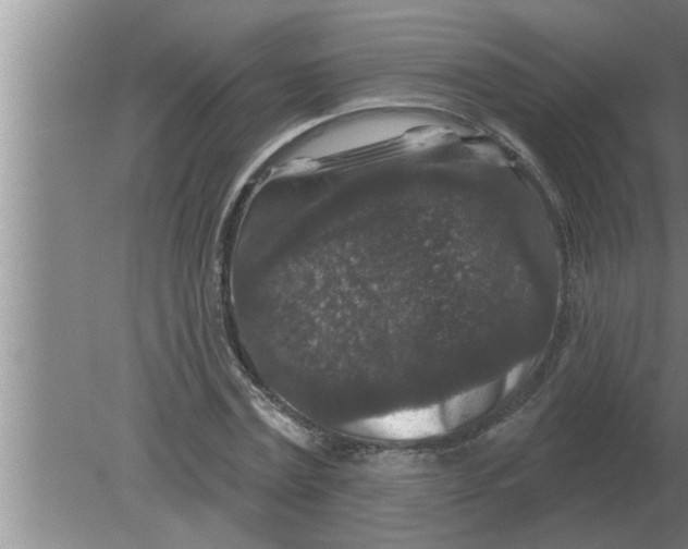 X0000080180779200612302244