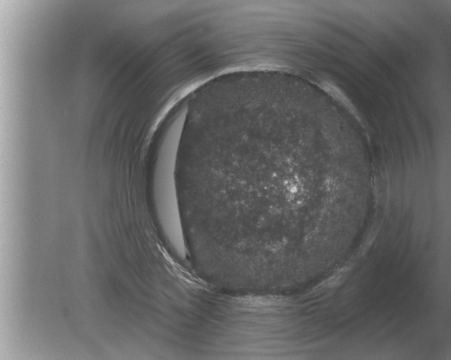 X0000080180781200612302244