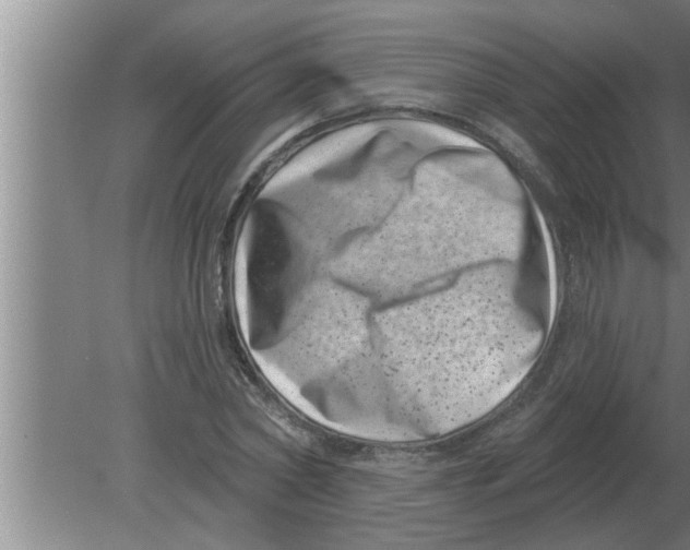 X0000080180782200612302244