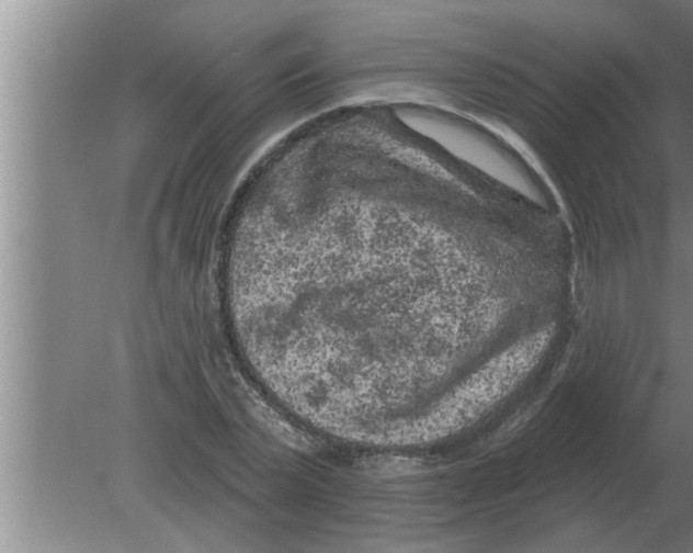 X0000080180783200612302244