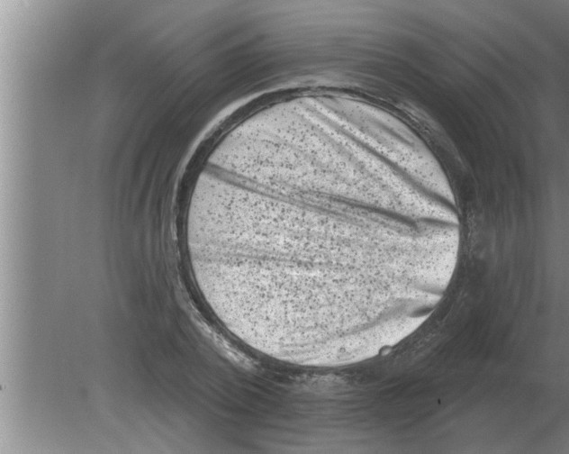 X0000080180784200612302244