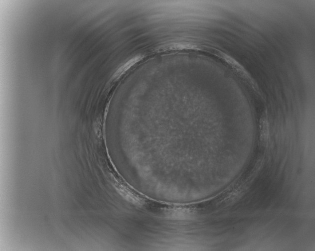 X0000080180785200612302244