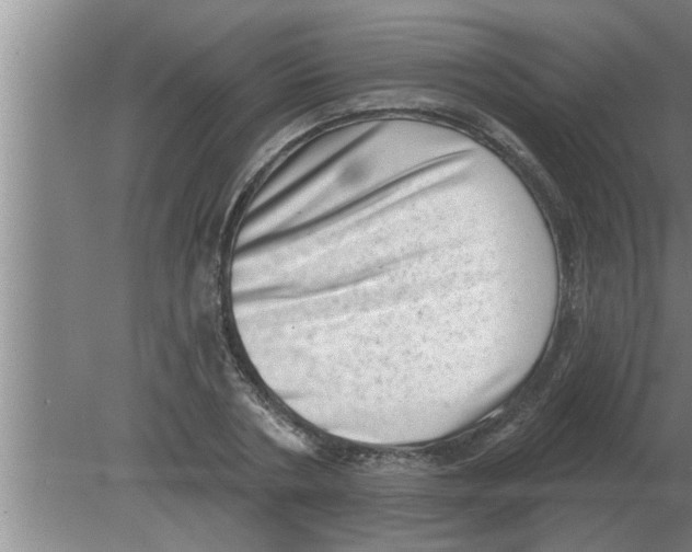 X0000080180786200612302244