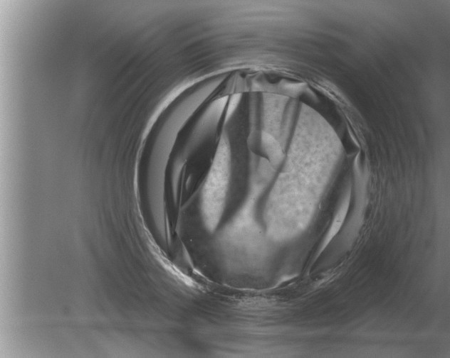 X0000080180788200612302244