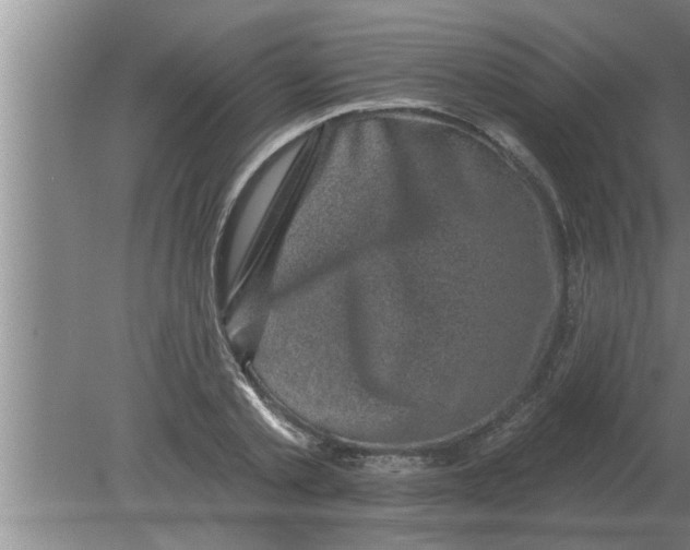 X0000080180789200612302244