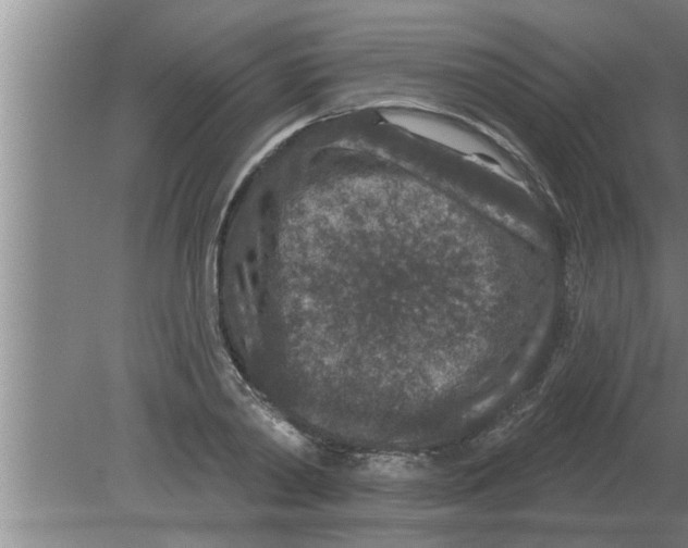 X0000080180790200612302244