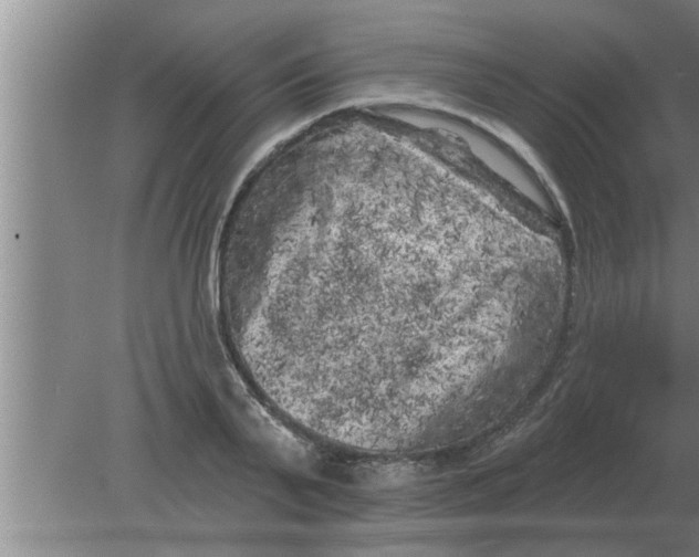 X0000080180791200612302244