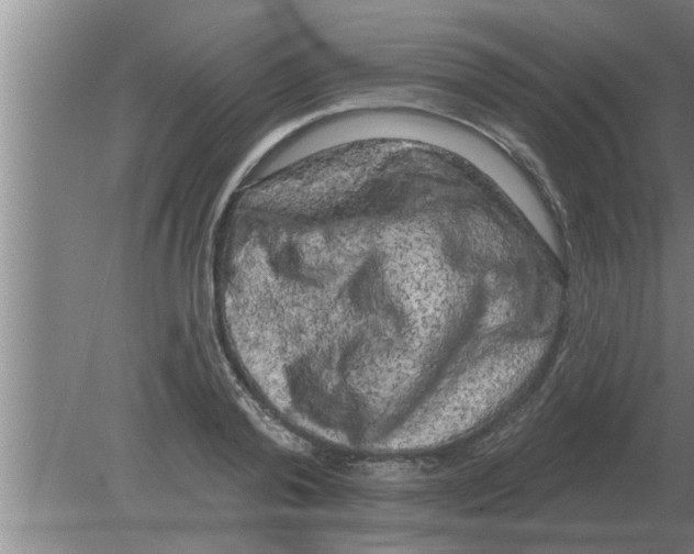 X0000080180792200612302244