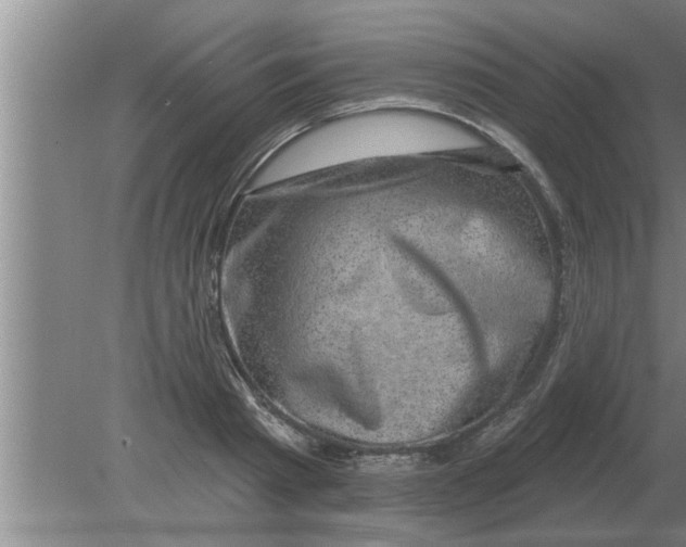 X0000080180793200612302244