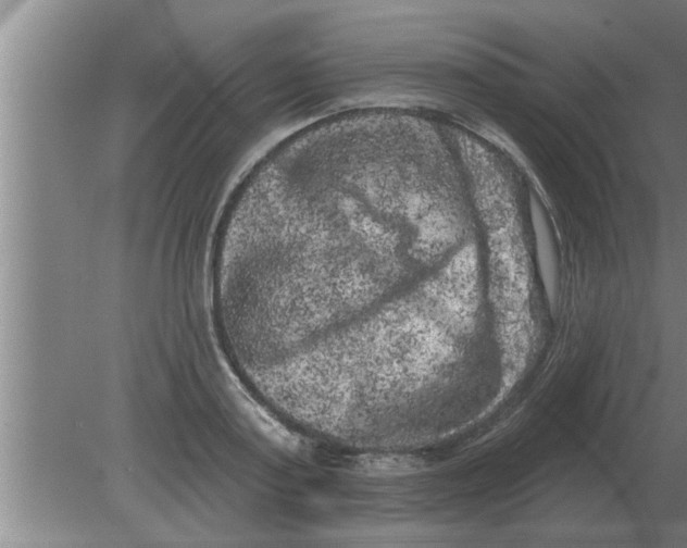 X0000080180795200612302244