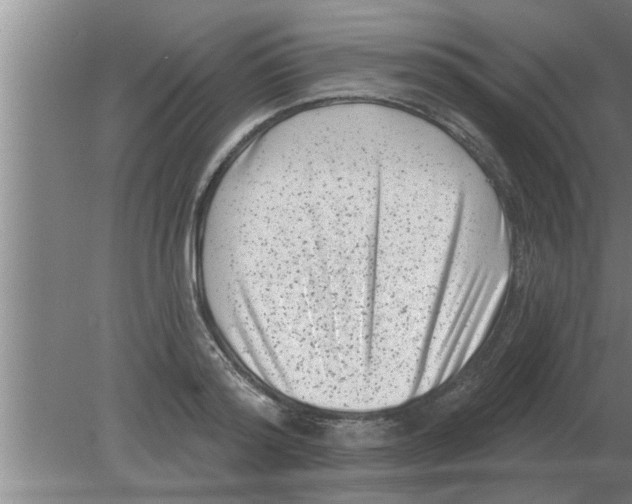 X0000080180796200612302244