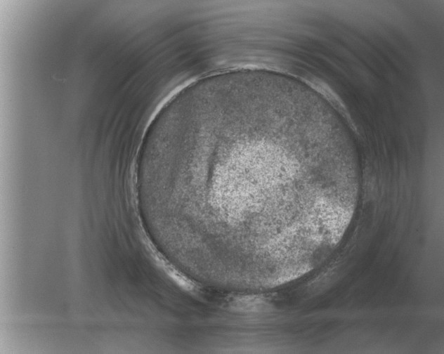 X0000080180798200612302244