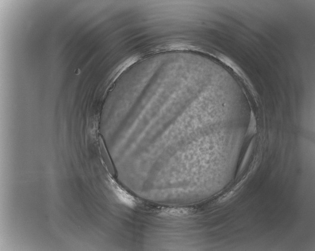 X0000080180801200612302244