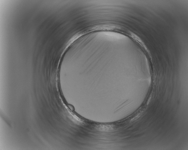 X0000080180802200612302244