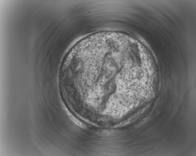 X0000080180803200612302244