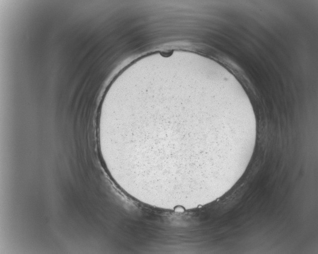 X0000080180808200612302243