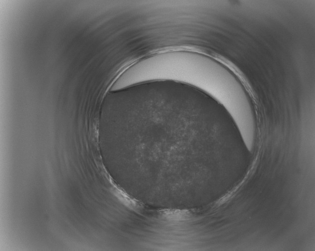 X0000080180809200612302243