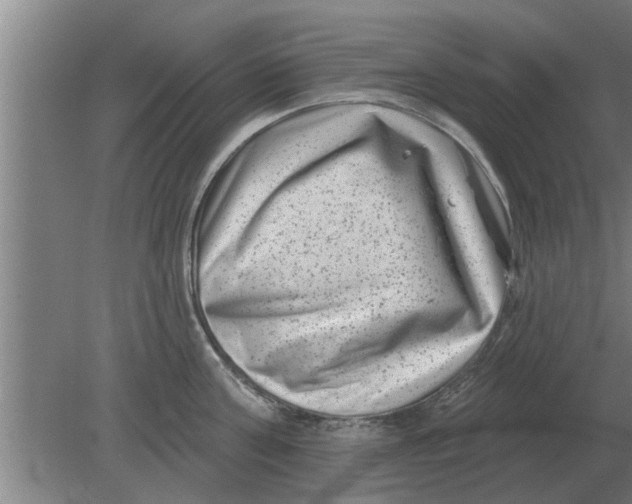 X0000080180811200612302243