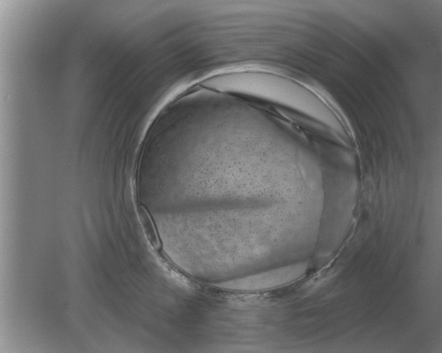 X0000080180813200612302243