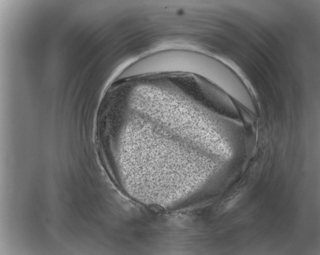 X0000080180815200612302243