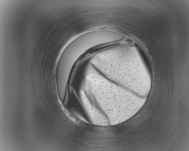 X0000080180816200612302243