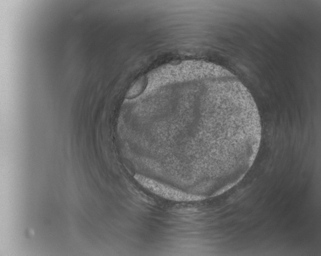 X0000080180817200612302242