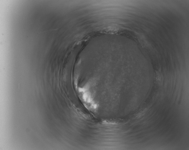 X0000080180818200612302243