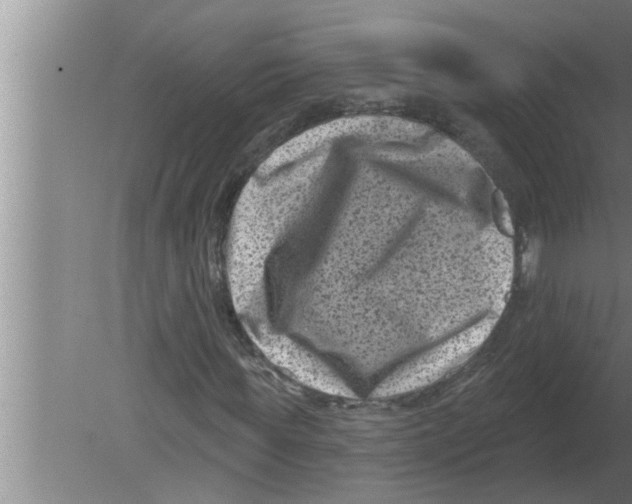 X0000080180819200612302243