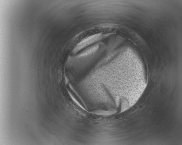 X0000080180821200612302243