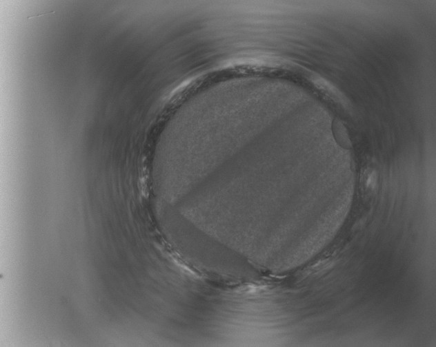 X0000080180822200612302243